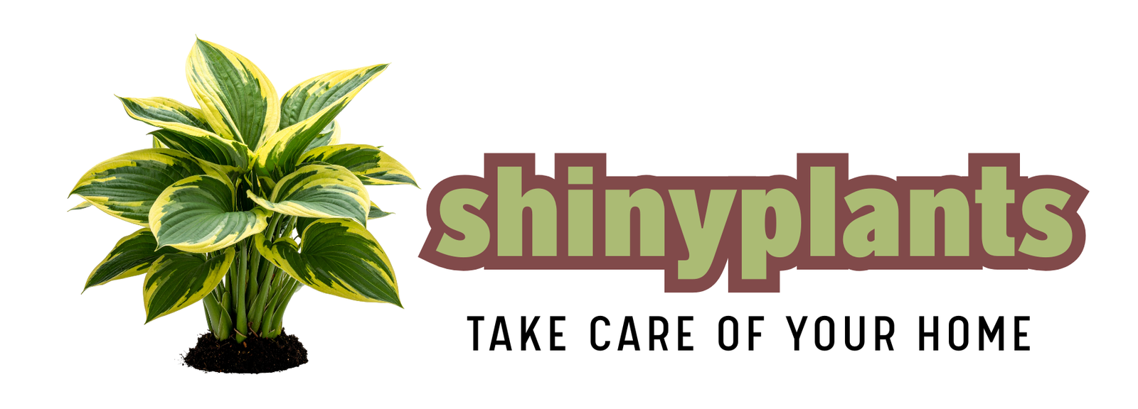 Shinyplants
